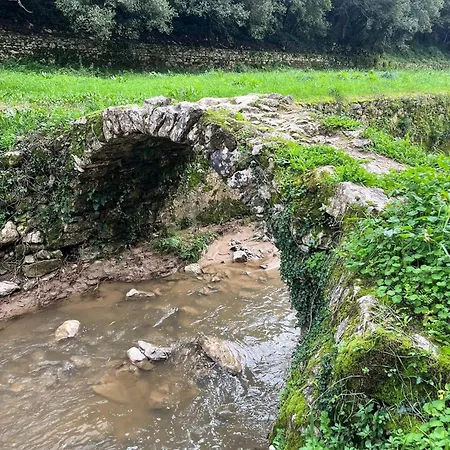 Semesterbostad Spring Water House
