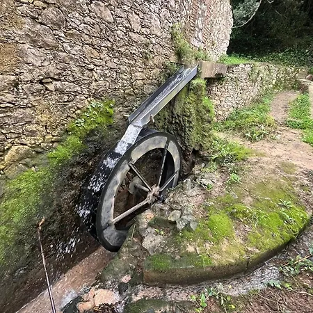 Spring Water House Hébergement de vacances