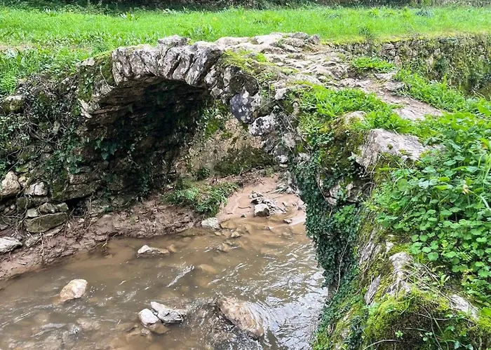 Semesterbostad Spring Water House